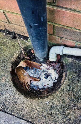 https://plumberbrabham.com.au/uploads/2025/06/blocked-drains-294506.jpg