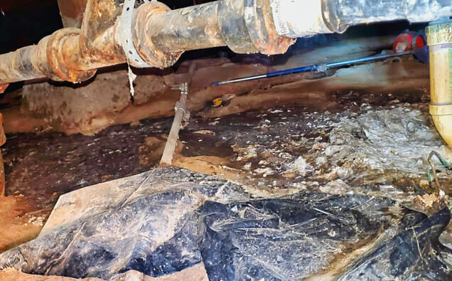 https://plumberbrabham.com.au/uploads/2025/06/plumbing-73706.jpg